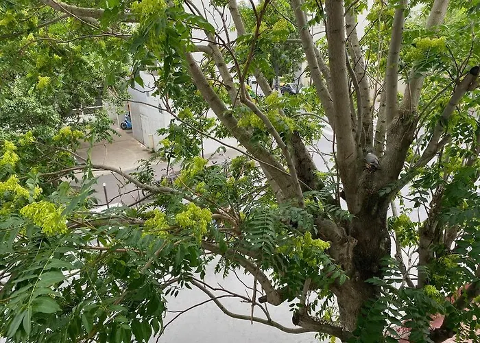 Apartman Confortable